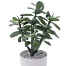 Kunstpflanze Geldbaum Grün ca. 31 cm