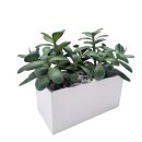 Kunstpflanze Geldbaum Grün ca. 20 cm