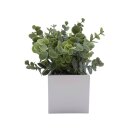 Kunstpflanze Peperomie ca. 24 cm