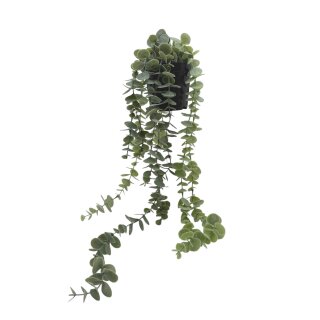 Künstliche hängende Eukalyptuspflanze Grün ca. 58 cm