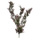 Hängender Künstlicher Crassula Zweig ca. 76 cm
