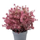 Künstliche Topfpflanze Pink ca. 20 cm
