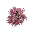 Künstliche Topfpflanze Pink ca. 20 cm