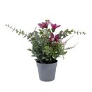 Künstliche Topfpflanze Pink ca. 25 cm