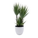 Künstliche Topfpflanze Palmlilie Grün ca. 32 cm