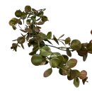 Eukalyptus Girlande Grün/Braun ca. 165 cm