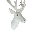 Hirschkopf zum Hängen Creme ca. 56 cm