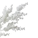 Eukalyptus Zweig Weiß/Glitzer ca. 76 cm