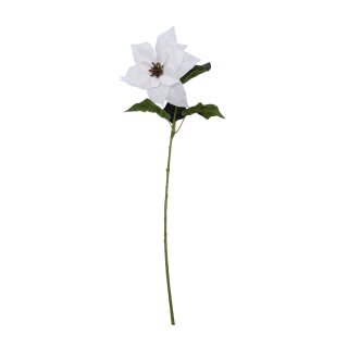 Christstern-Zweig Weiß ca. 65 cm